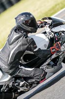 Advanced Group White Bikes